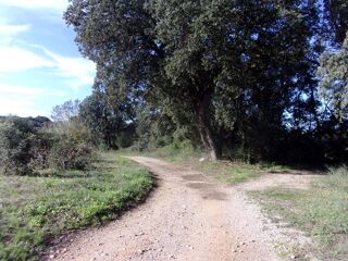  Terrain � vendre 6270 m�