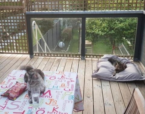  Maison  louer 3 pices 90 m