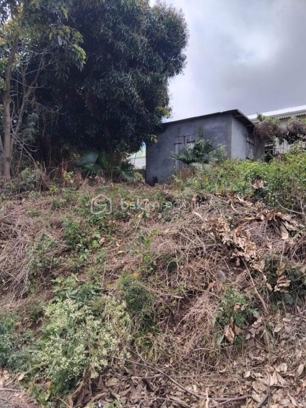 Vente Terrain Terrain Constructible de 1078 m² à l'Entre-Deux, La Réunion Entre deux