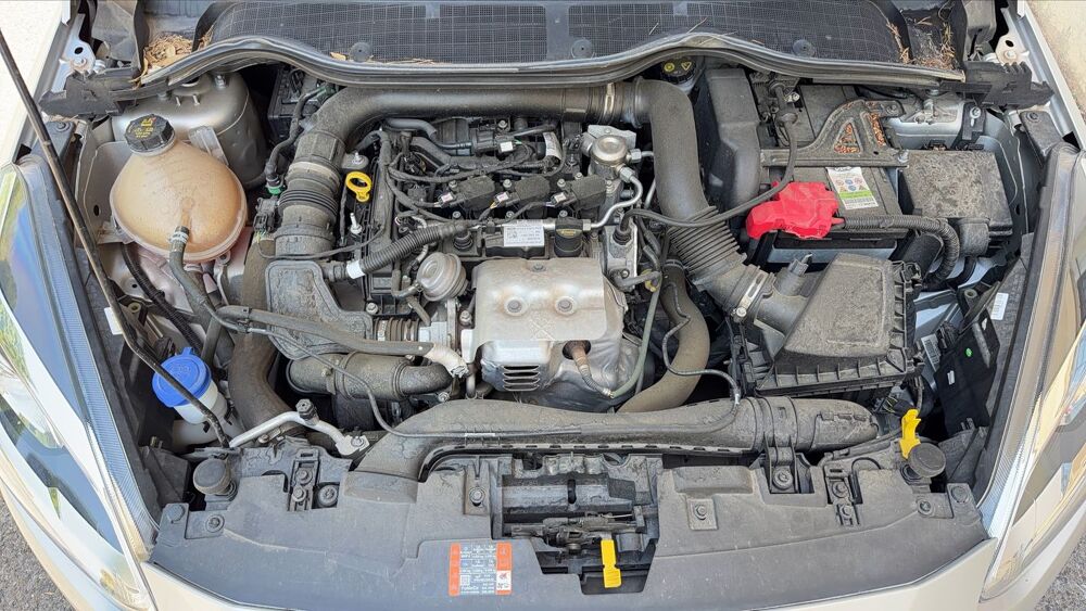 Fiesta VI 1.0 SCTi Ecoboost 100 Active - 5 places 2019 occasion 83600 Frejus
