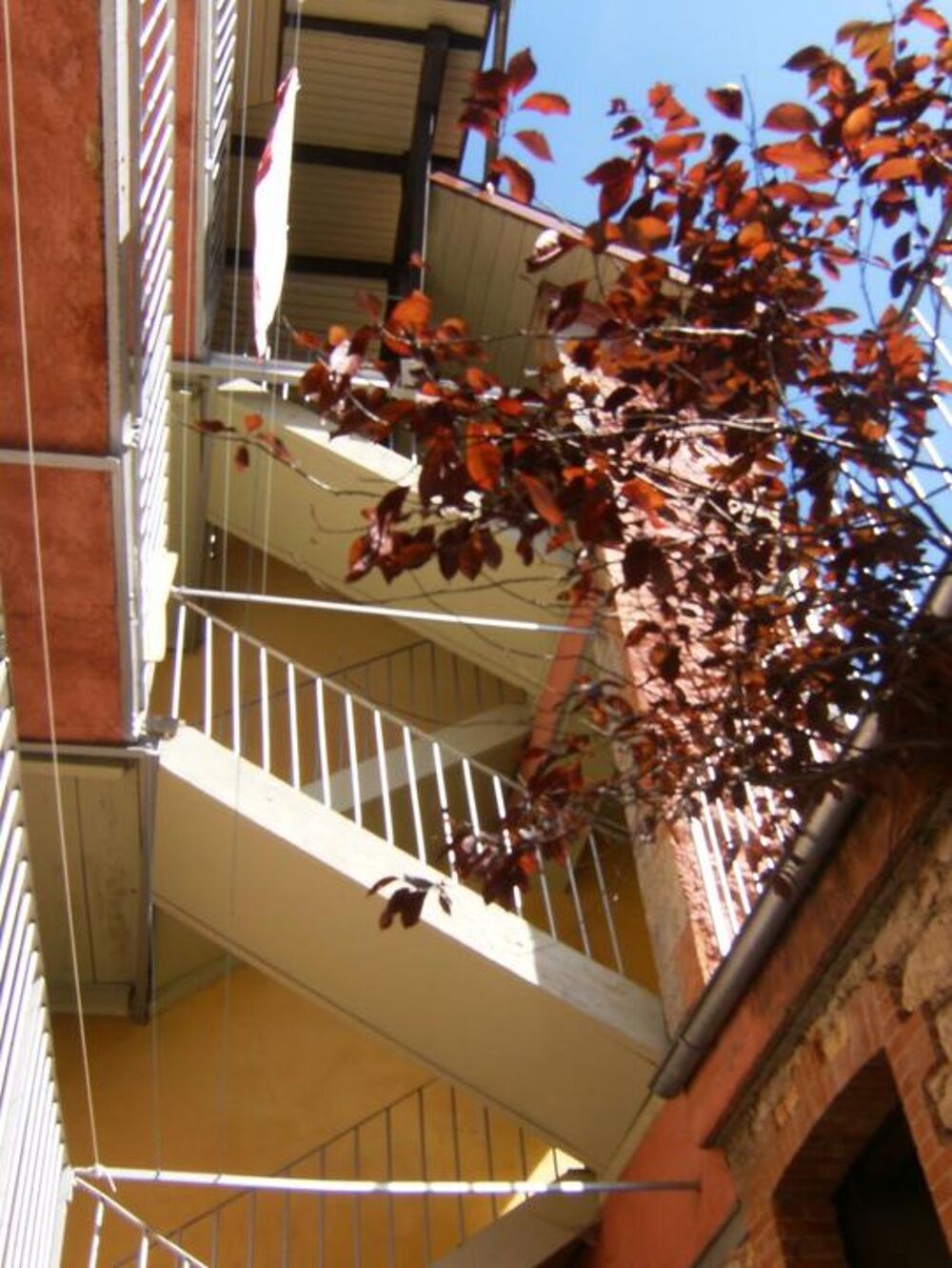 Location Appartement Appartement de 100m2 à louer sur Saint-Claude Saint claude