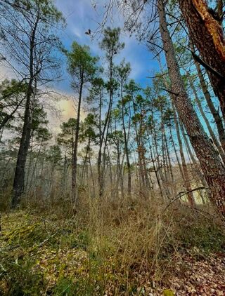  Terrain � vendre 8459 m�