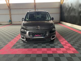 Berlingo Shine XL 2019 occasion 56120 Les Forges De Lanouee