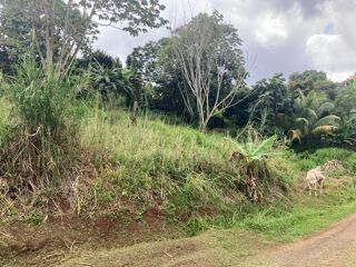  Terrain  vendre 1424 m