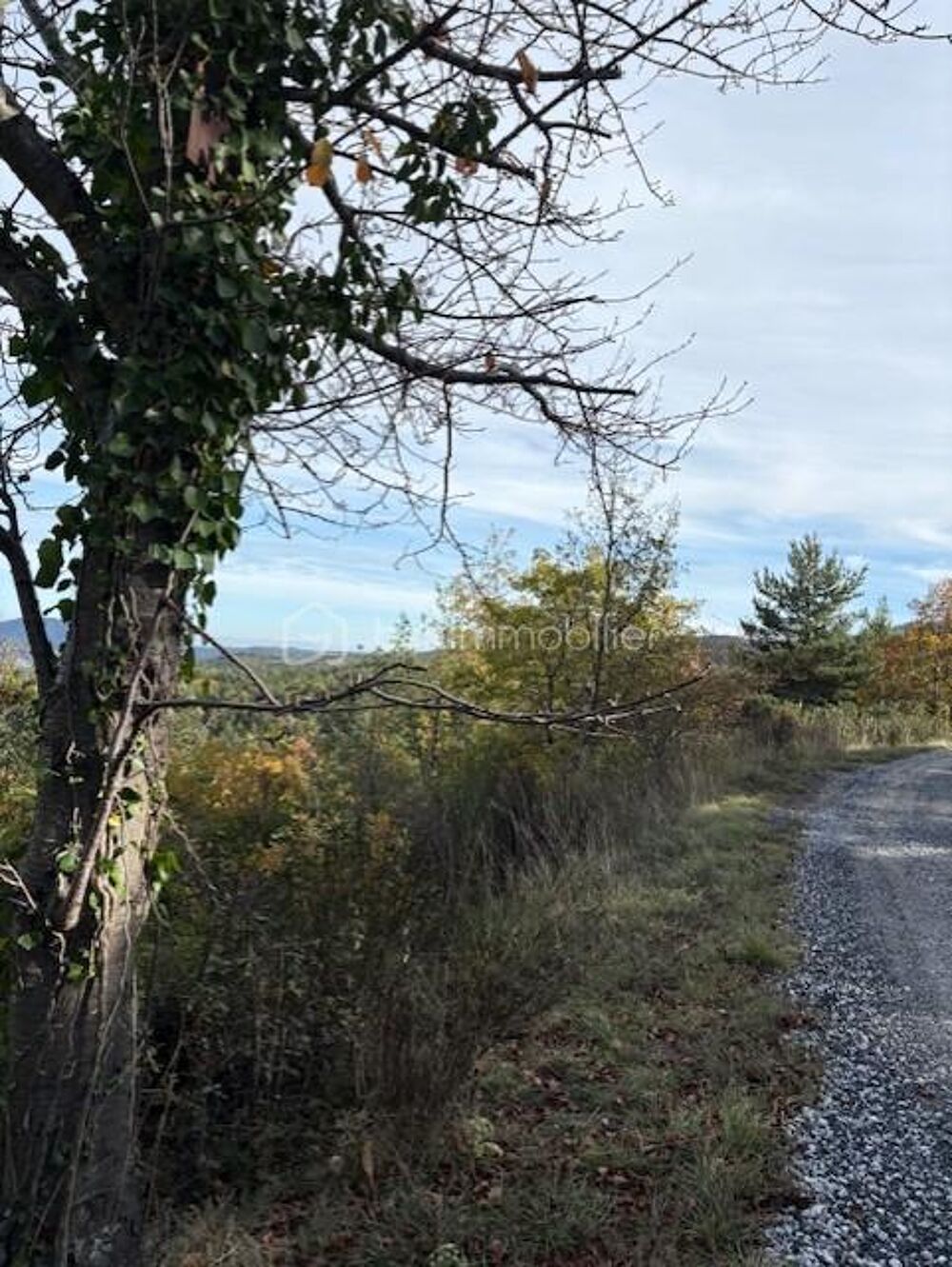 Vente Terrain Terrain 10850 m2 Rabouillet Rabouillet
