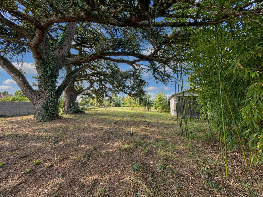 Vente Terrain Terrain 1100m² Saint sulpice la pointe