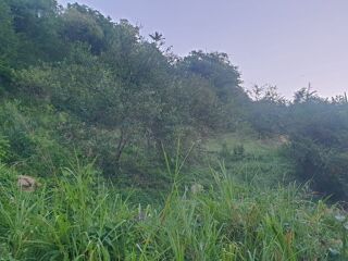  Terrain  vendre 2000 m