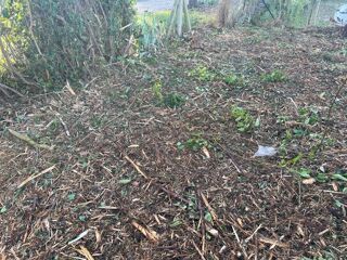  Terrain � vendre 303 m�