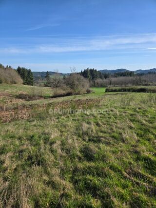  Terrain � vendre 2911 m�