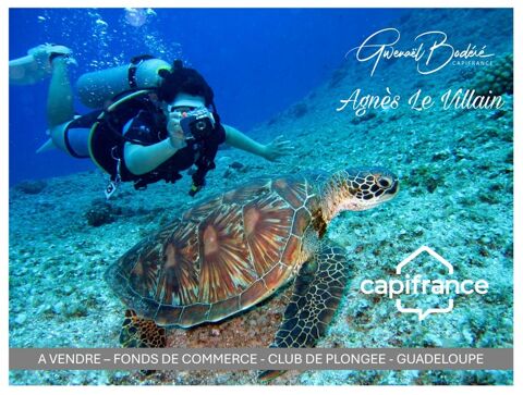 &Agrave; Vendre Fonds de Commerce Centre de Plong&eacute;e Emplacement d'Exception &agrave; Bouillante (Guadeloupe) 345000 97125 Bouillante