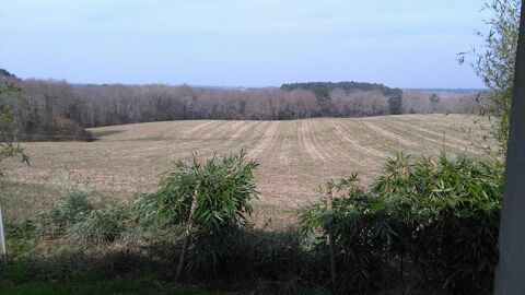  Appartement � louer 2 pi�ces 45 m�