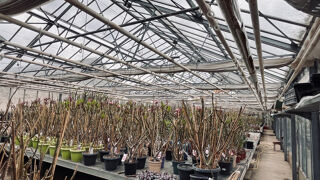  Propri�t�/ch�teau � vendre 5 pi�ces 147 m� Metz