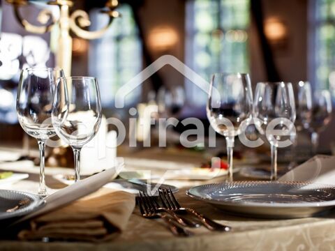 A vendre Restaurant excellente rentabilité, Lac du Der 1390000 51290 Giffaumont champaubert