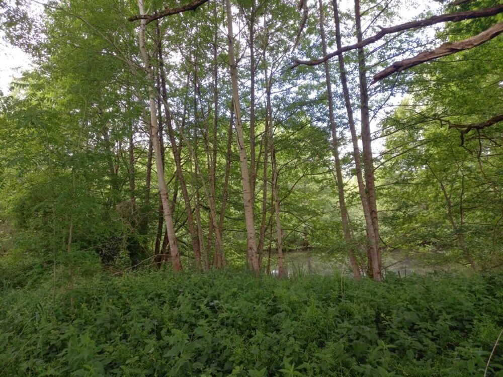 Vente Terrain Terrain à vendre de 405,00 m² Proche de COURTEMAUX (45320) Courtemaux