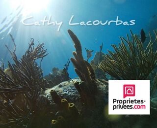  Propri�t�/ch�teau � vendre 15 + pi�ces 400 m�