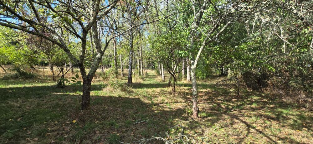 à vendre  Propriété/château Thénac (24240)