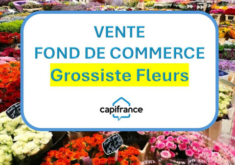 BASTIA : vente FDC GROSSISTE FLEURS ET PLANTES 954000 20620 Biguglia