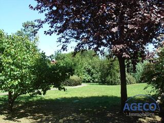  Appartement à louer 1 pièce 20 m²