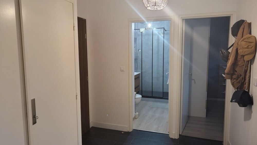 Location Appartement Appartement de 52m2 à louer sur Villeurbanne Villeurbanne