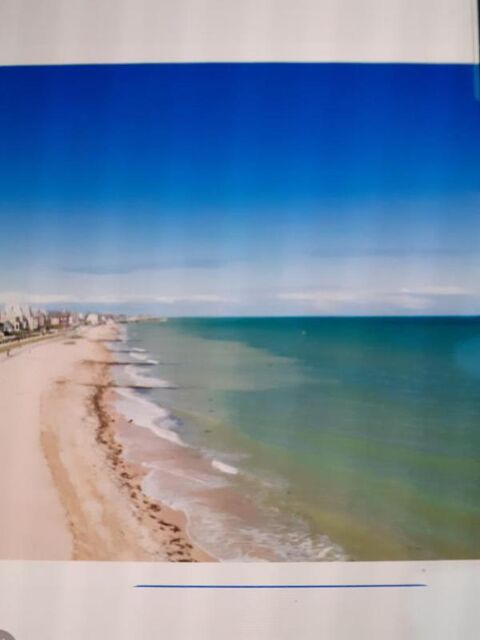  Appartement � louer 3 pi�ces 46 m�