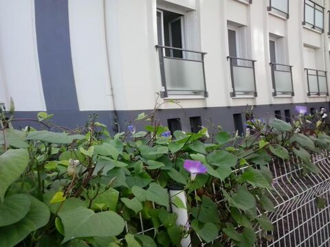  Appartement � louer 4 pi�ces 71 m�