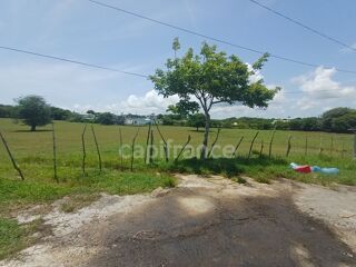  Terrain  vendre 1000 m