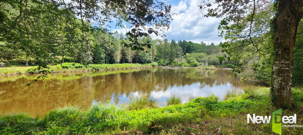Propriété exceptionnelle avec étang privé de 8 000 m²  1,81 ha  Viager occupé  Eyrein
