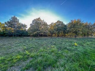  Terrain à vendre 17400 m²
