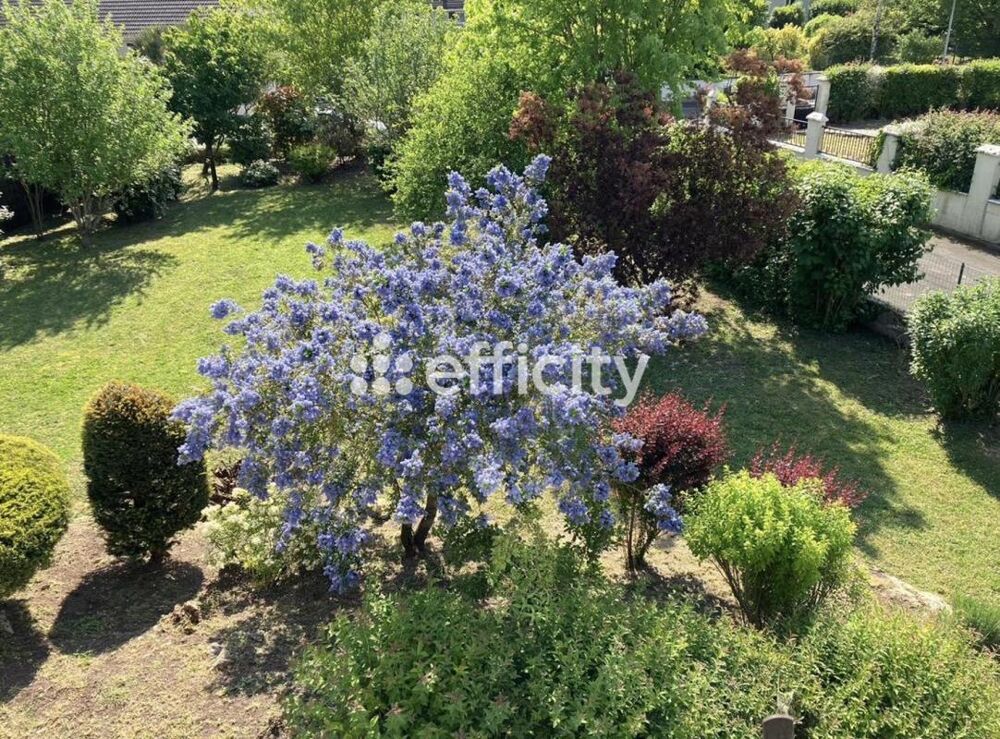 Vente Maison Maison individuelle Gironville sur essonne
