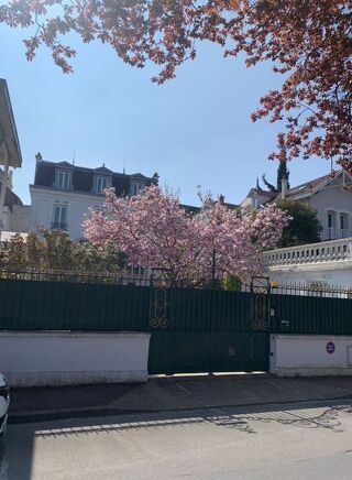  Appartement à louer 1 pièce 16 m²