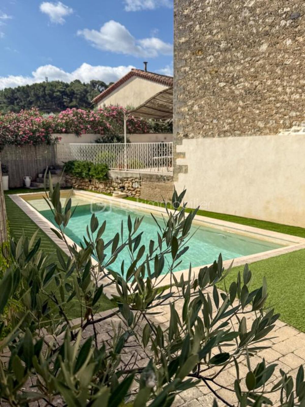 � vendre  Propri�t�/ch�teau Aspiran (34800)