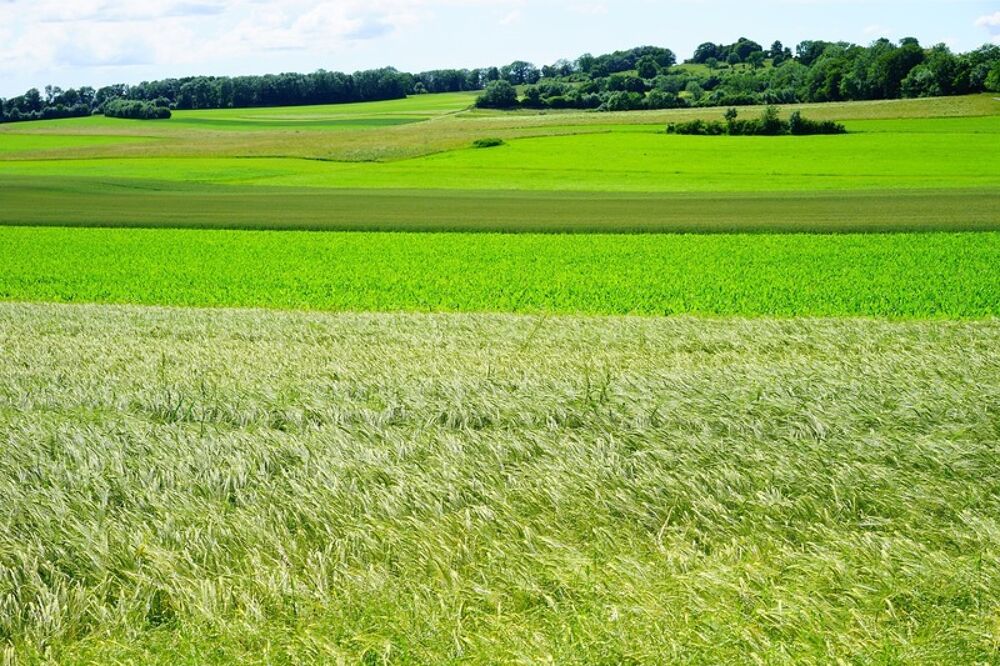Vente Terrain Dpt Yvelines (78), à vendre ACHERES terrain de 833 m2 Acheres