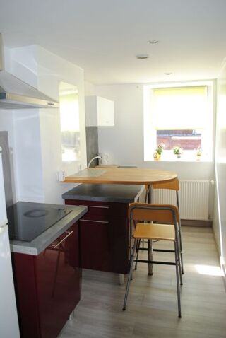  Appartement à louer 1 pièce 28 m² Lille