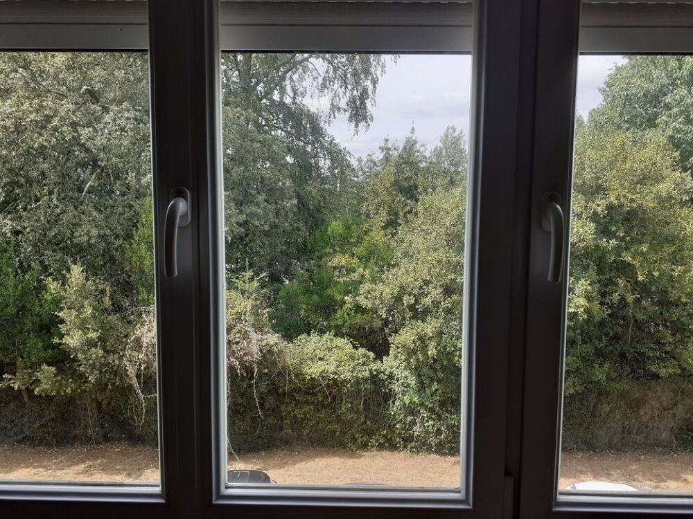 Location Appartement Chambre de 13m2 à louer sur Nantes Nantes