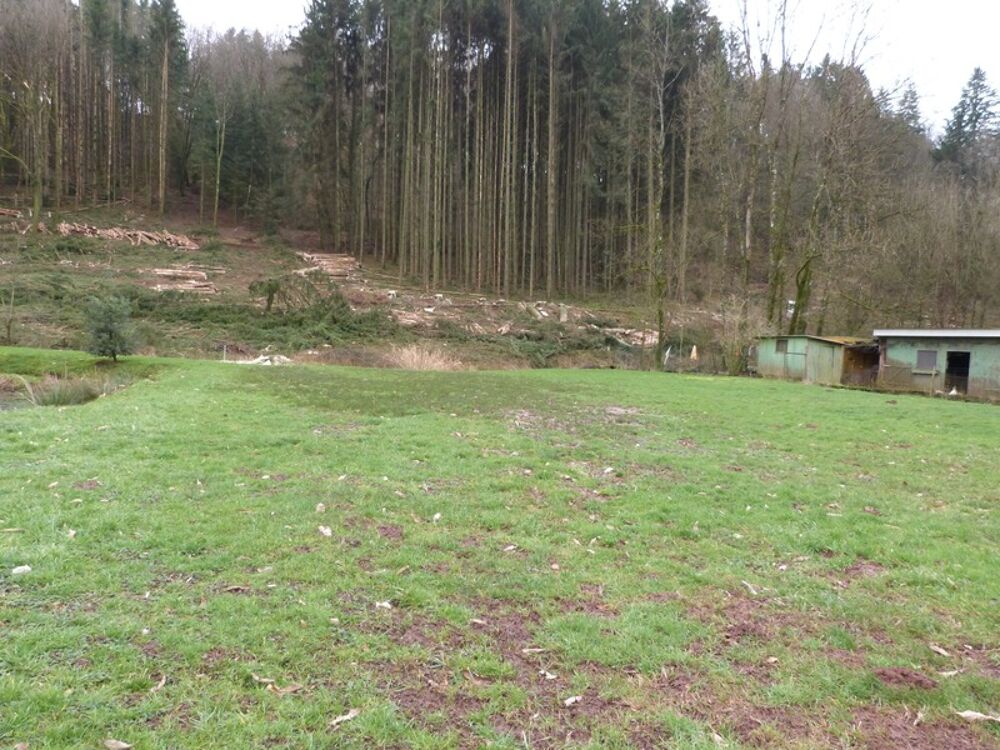 Vente Terrain Dpt Moselle (57), à vendre HOTTVILLER terrain - Terrain de 803,00 m² Hottviller