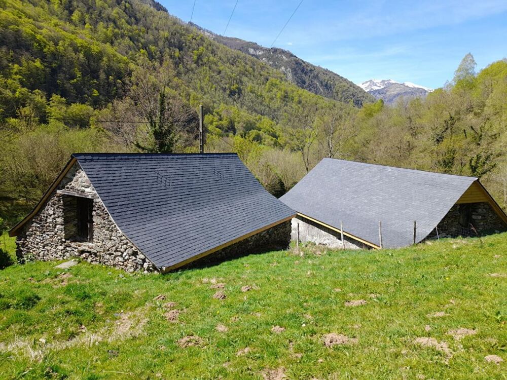 Deux granges à rénover dans les montagnes Ossaloises