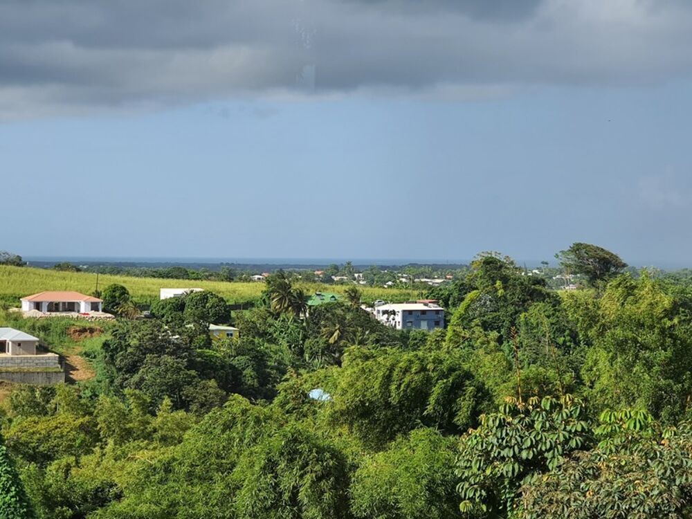 Vente Villa Spacieuse villa architecte P6 vue mer éloignée avec piscine sur 1200 m² de terrain arboré et clos Petit bourg