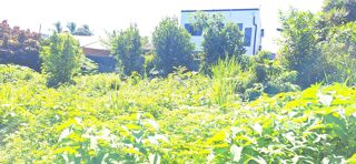  Terrain à vendre 402 m²