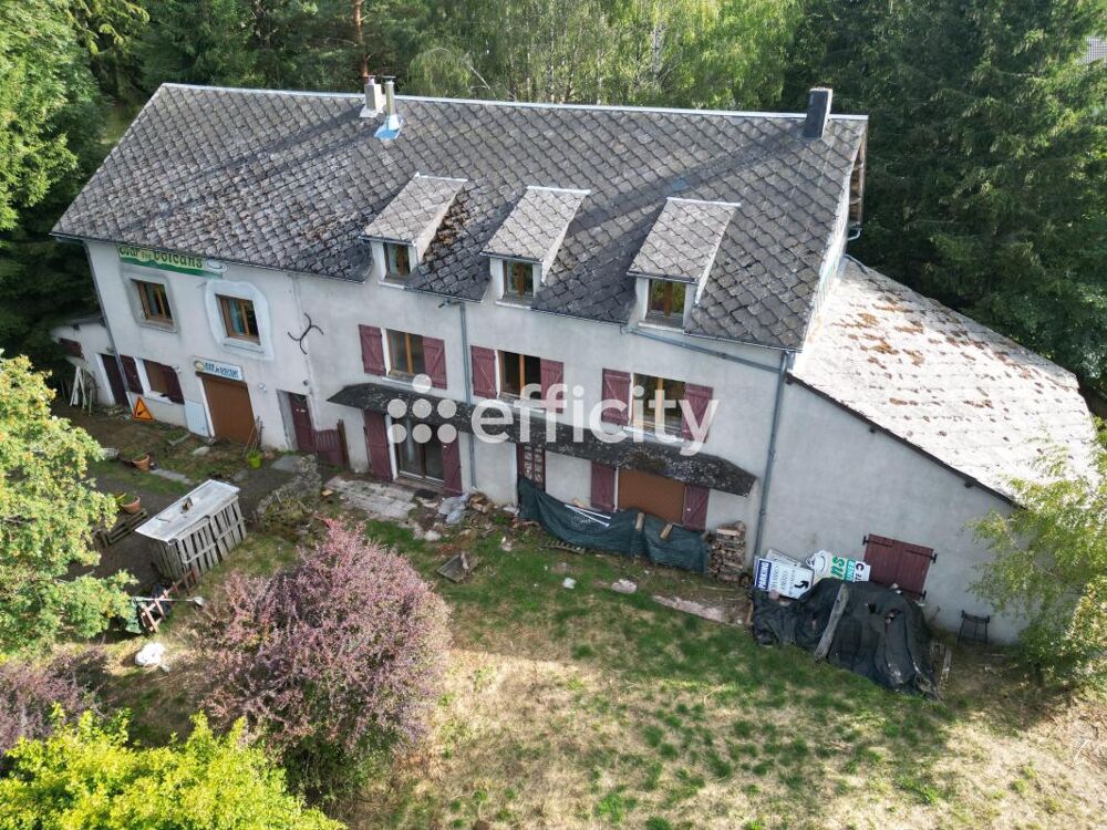 Vente Propriété/Château Demeure Aurieres