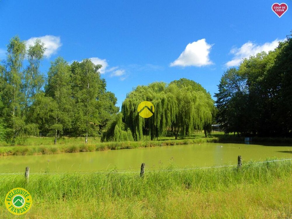 ÉTANG AU CALME