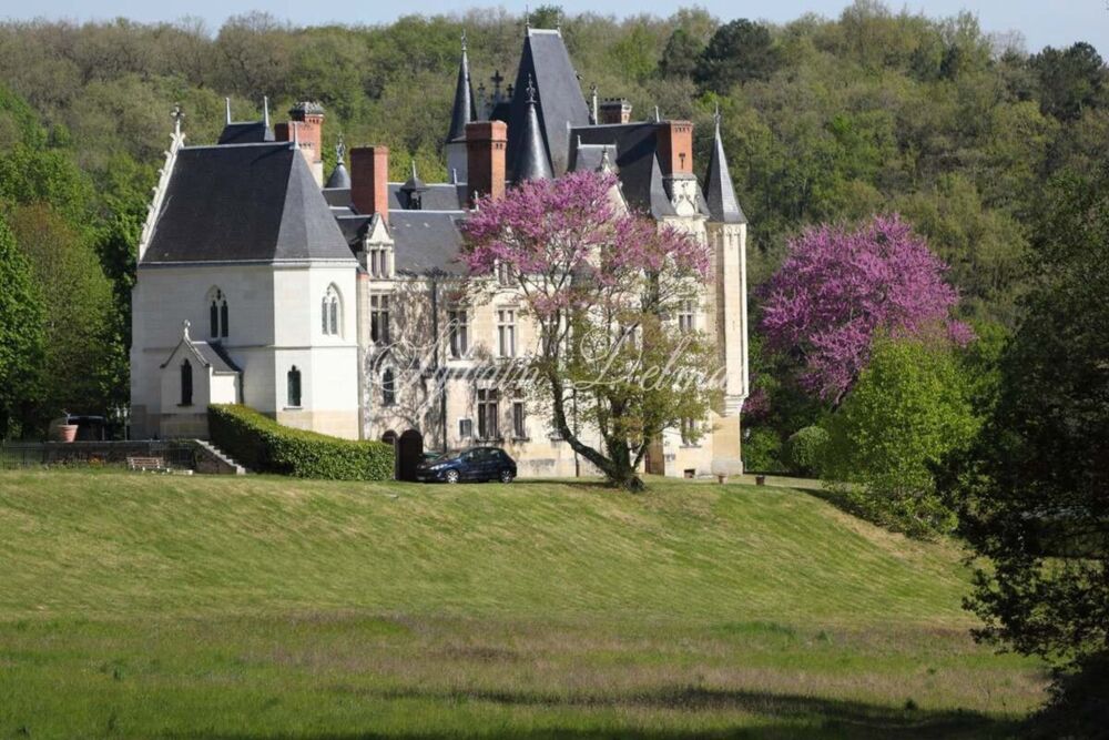 Vente Propriété/Château Propriete à vendre 50 pièces proche de TOURS (37) Tours