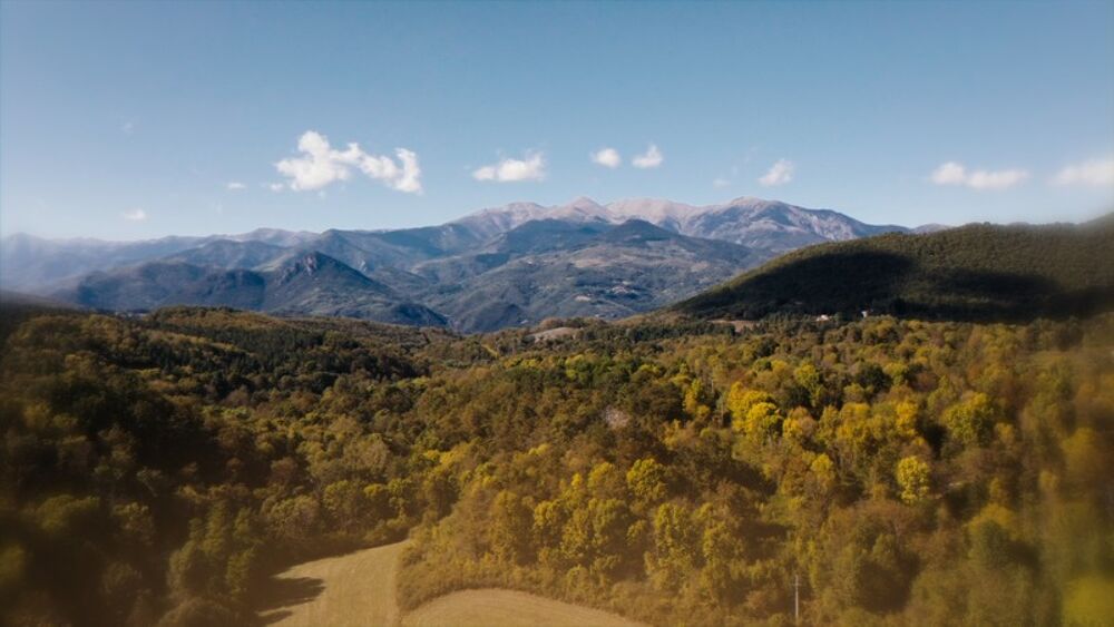 � vendre  Maison Saint-Laurent-de-Cerdans (66260)