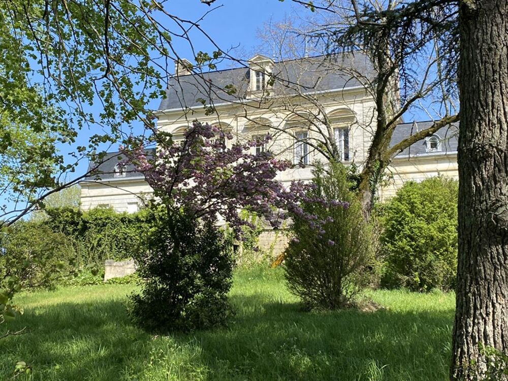  vendre  Proprit/chteau Montagne (33570)