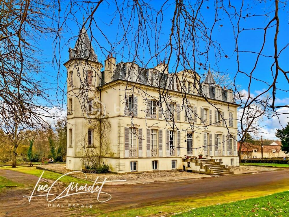 Château époque Napoléon III avec parc et dépendances (Proche de Coulommiers (77120)