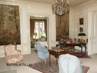  Hôtel Particulier à vendre 12 pièces 465 m²