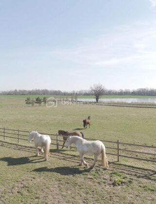  Propri�t�/ch�teau � vendre 15 + pi�ces 3000 m�