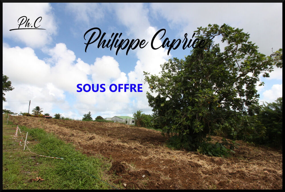 Vente Terrain Dpt Martinique (972),  vendre TERRAIN CONSTRUCTIBLE BASSE POINTE 722m2 Basse pointe