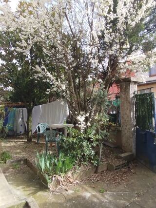  Appartement � louer 2 pi�ces 46 m�