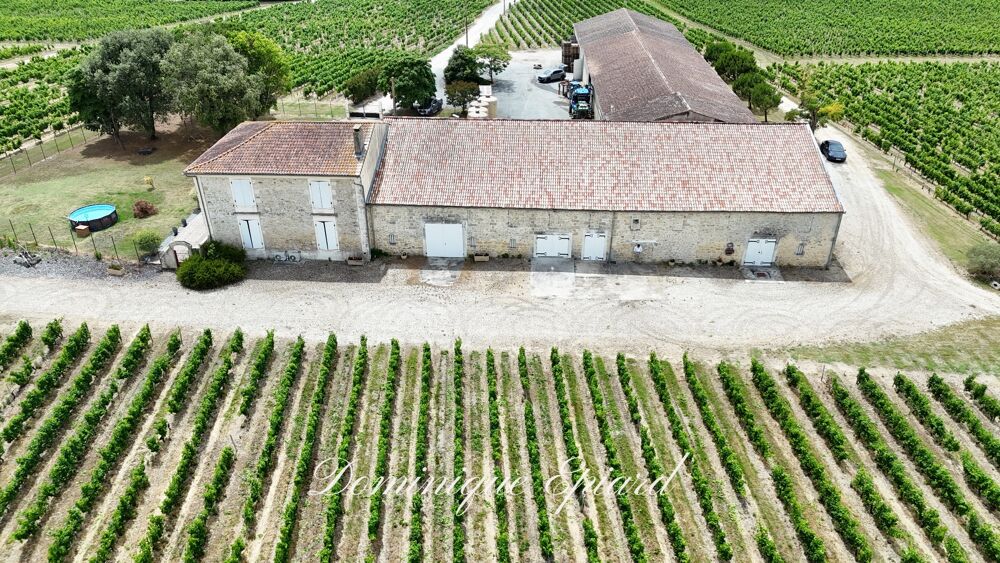 Vente Propriété/Château Exclusivité À VENDRE Vignoble Cru Bourgeois Médoc Vue exceptionnelle Saint yzans de medoc