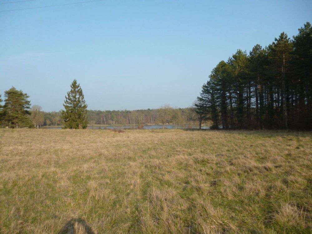à vendre  Propriété/château Tours (37000)